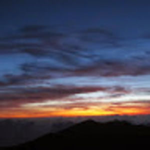 Meet your Posher, Ronald